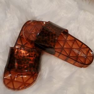 Tortoise shell slides